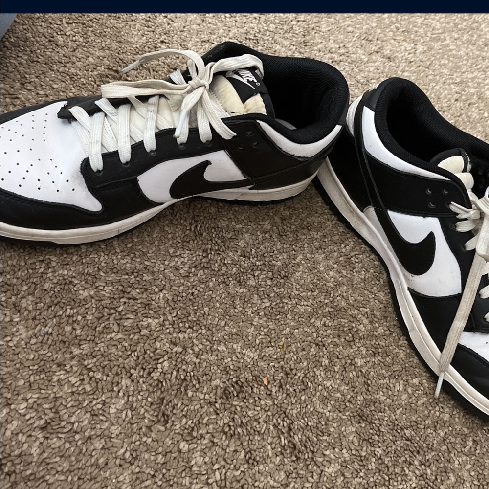 Nike Dunks